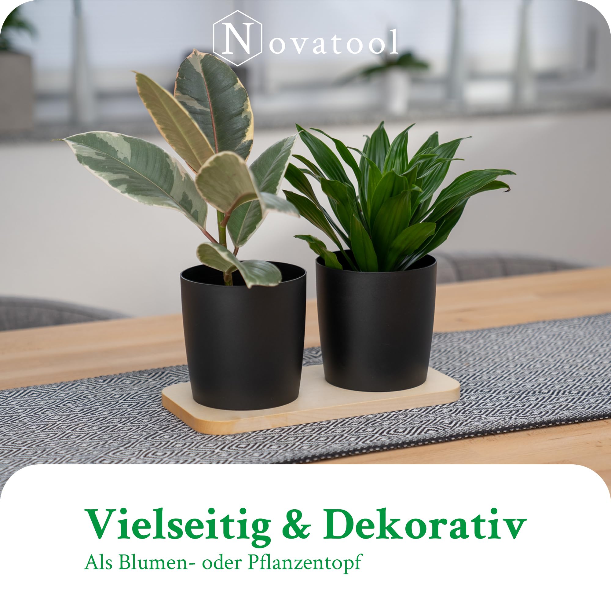 Novaliv Elegante stazione per erbe aromatiche, set da 4 pezzi, con base in legno e 4 vasi per erbe aromatiche per ogni davanzale, per erbe aromatiche fresche, per la cucina, per interni ed esterni,