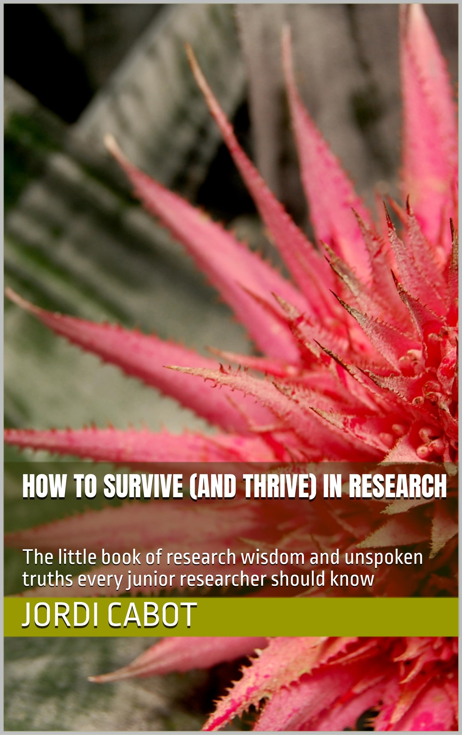 How to Survive (and Thrive) in Research: The little book of research wisdom and unspoken truths every junior researcher should know