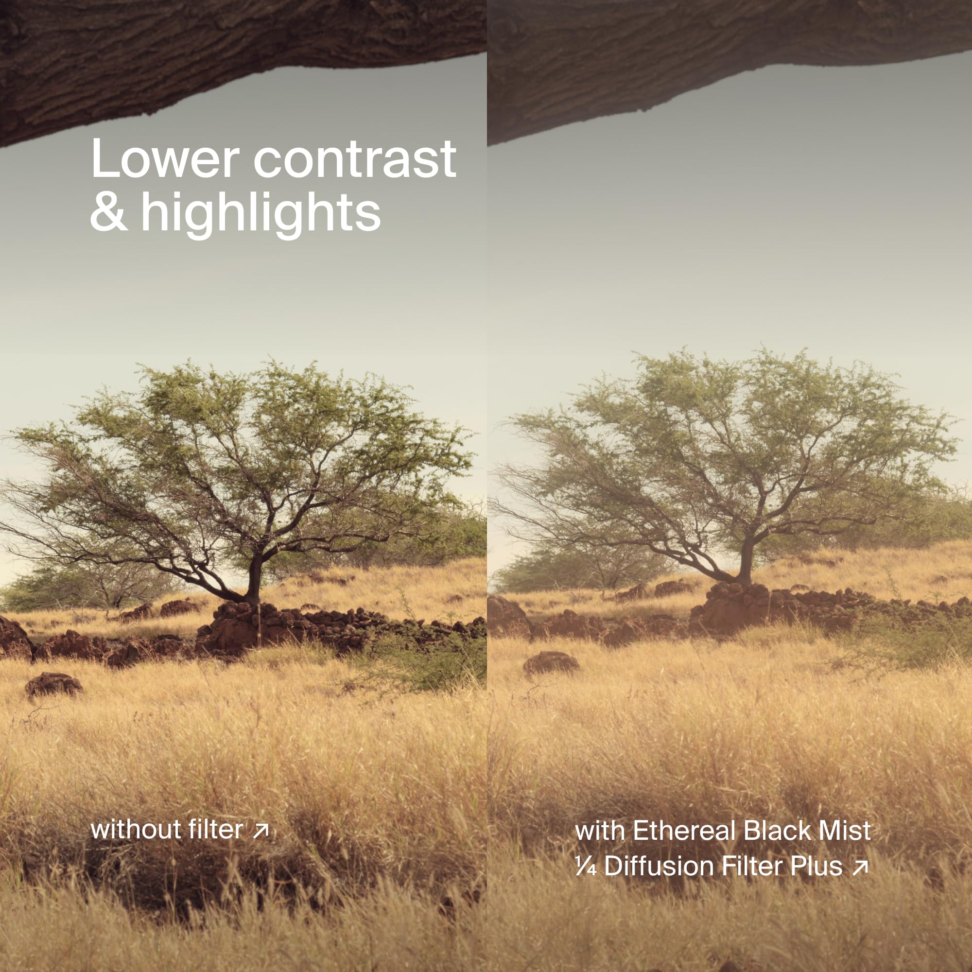 Urth 43 mm Filtro di Diffusione ¼ Etereo Black Mist (Plus) – Effetto Cinematografico per Obiettivo, Nano Rivestimento 20 Strati, Diffusione Luce per Fotocamera