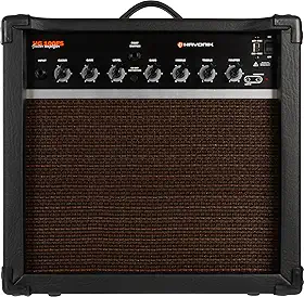 HAYONIK, Cubo de Guitarra C/Entrada Para Footswitch 100W RMS HG100FS