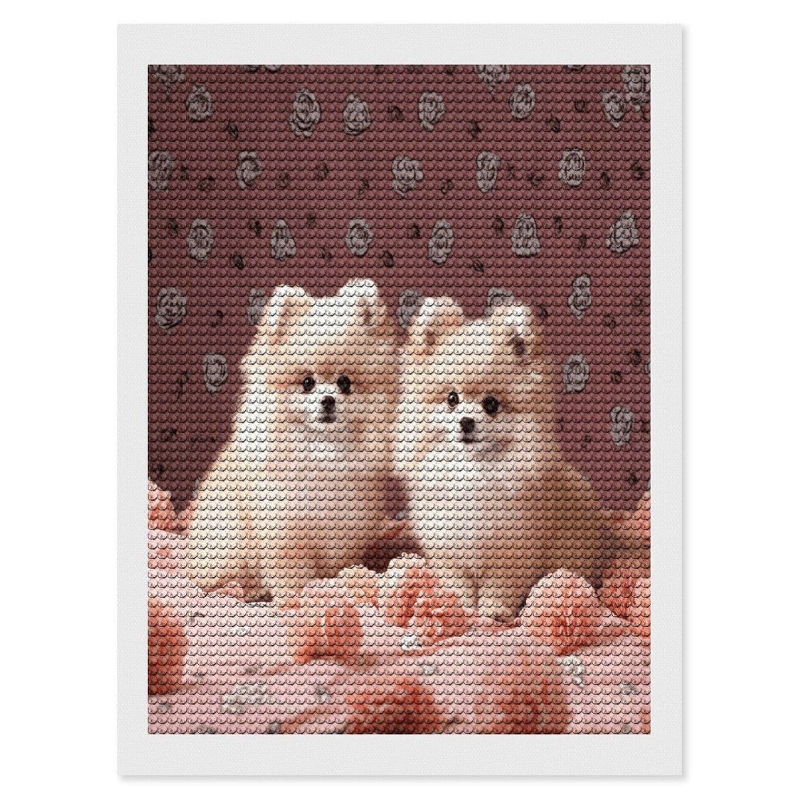 VstaDank Pomeranians Puppies and Point Diamond Painting Kits Exquisite DIY Full Round Drill Diamond Dots Painting for Adults Beginner Diamond Photo Paint with Diamond Picture Art Wall Decor 12"x16"