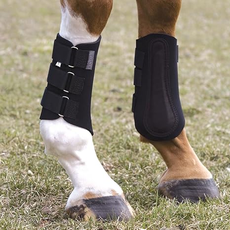 horse boots amazon