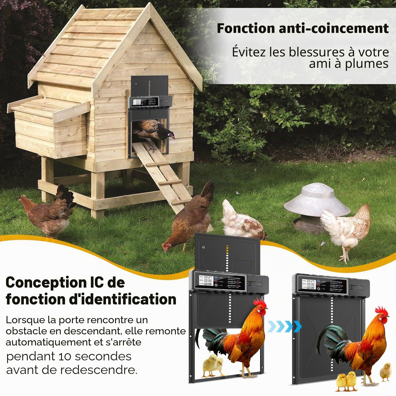 talifoca Porte Poulailler Automatique Batterie avec Écran LCD Étanche, Porte Automatique Poulailler en Aluminium avec Anti-Pincement, Minuterie, Ouvre-Porte Vertical(Aucune Pile Incluse)