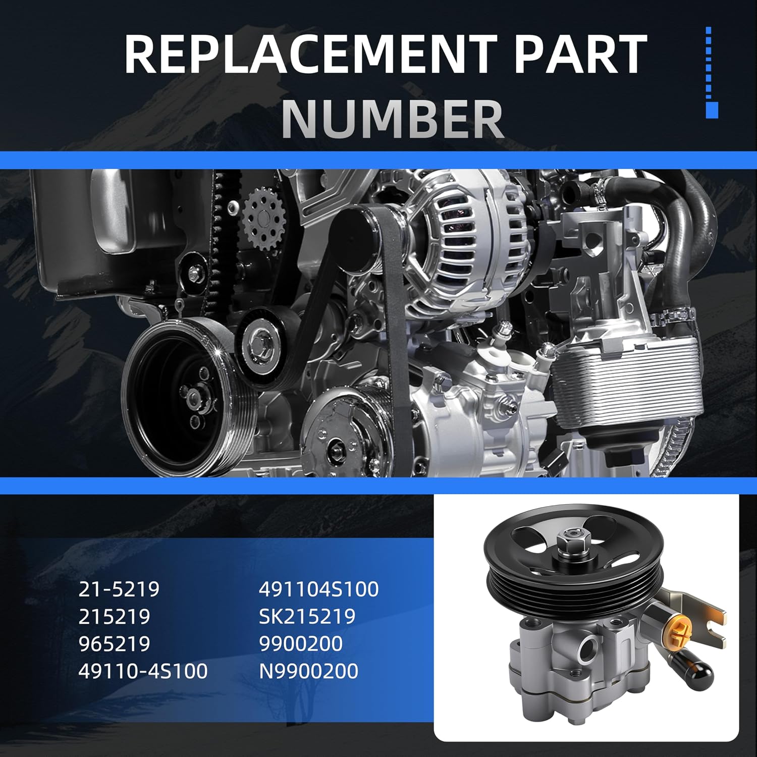 Power Steering Pump with Pulley, 1999-2004 for Nissan Frontier, 2000-2004 for Xterra V6 3.3L, Replace 21-5219, 49110-4S100, 491104S100, SK215219
