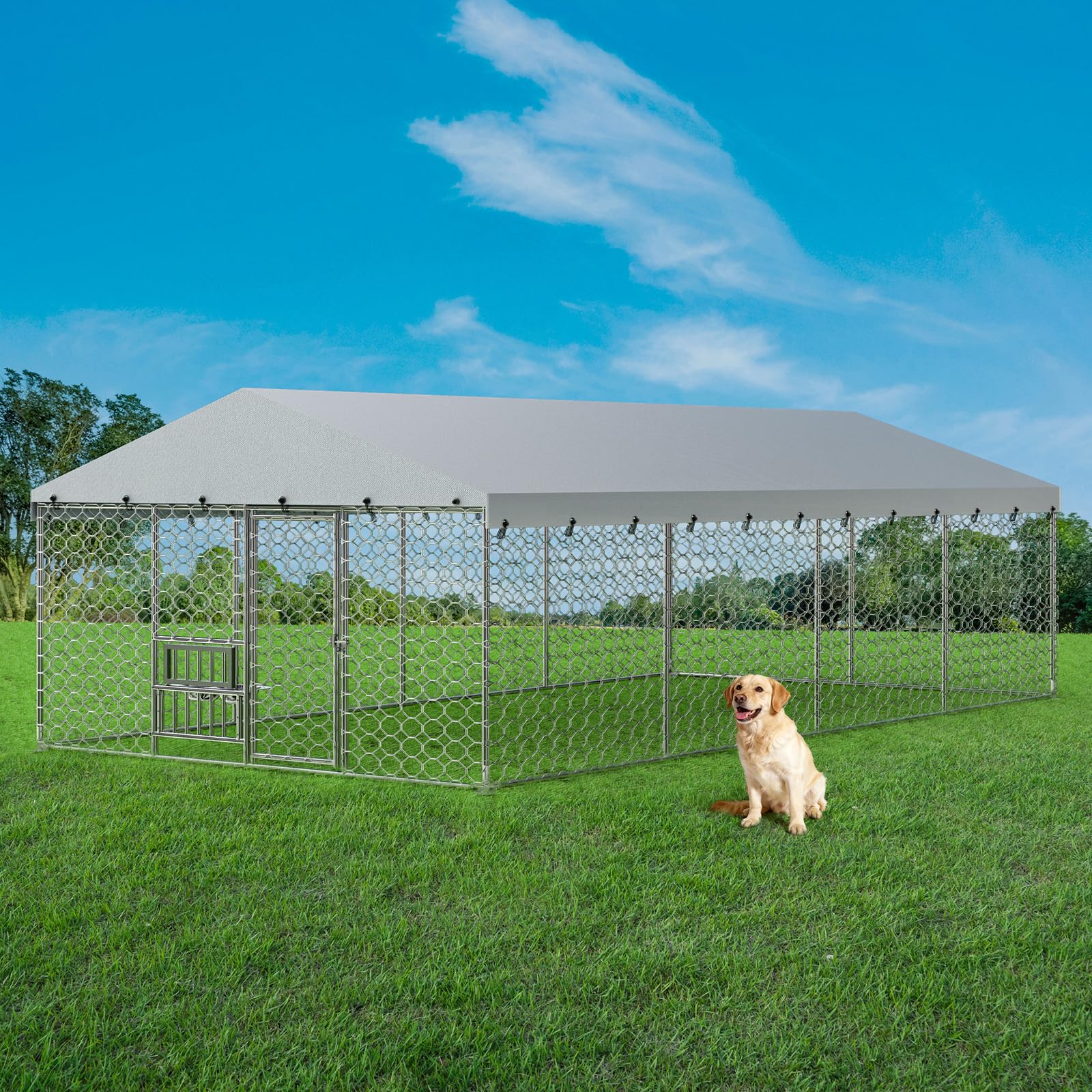 Lyromix 10×20FT Outdoor Dog Kennel with Roof, Heavy Duty Chain Link Dog Run