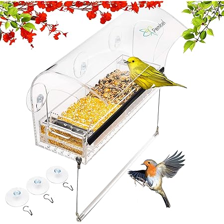 Outdoor Bird Feeders Clear Acrylic Outside View Of Cardinal And Blue Jay Wild Birds Of Joy Bird House Window Bird Feeder With 4 Super Strong Suction Cups Locking Sliding Seed Tray