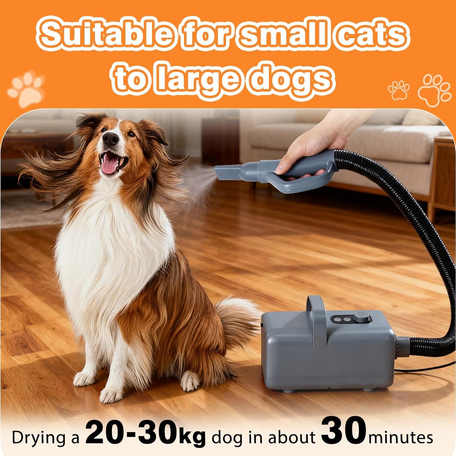 Professional 1550W High-Velocity Pet/Dog Grooming Dryer Blower - Adjustable Speed & Temperature with Heater & 4 Nozzle Attachments (Grey)