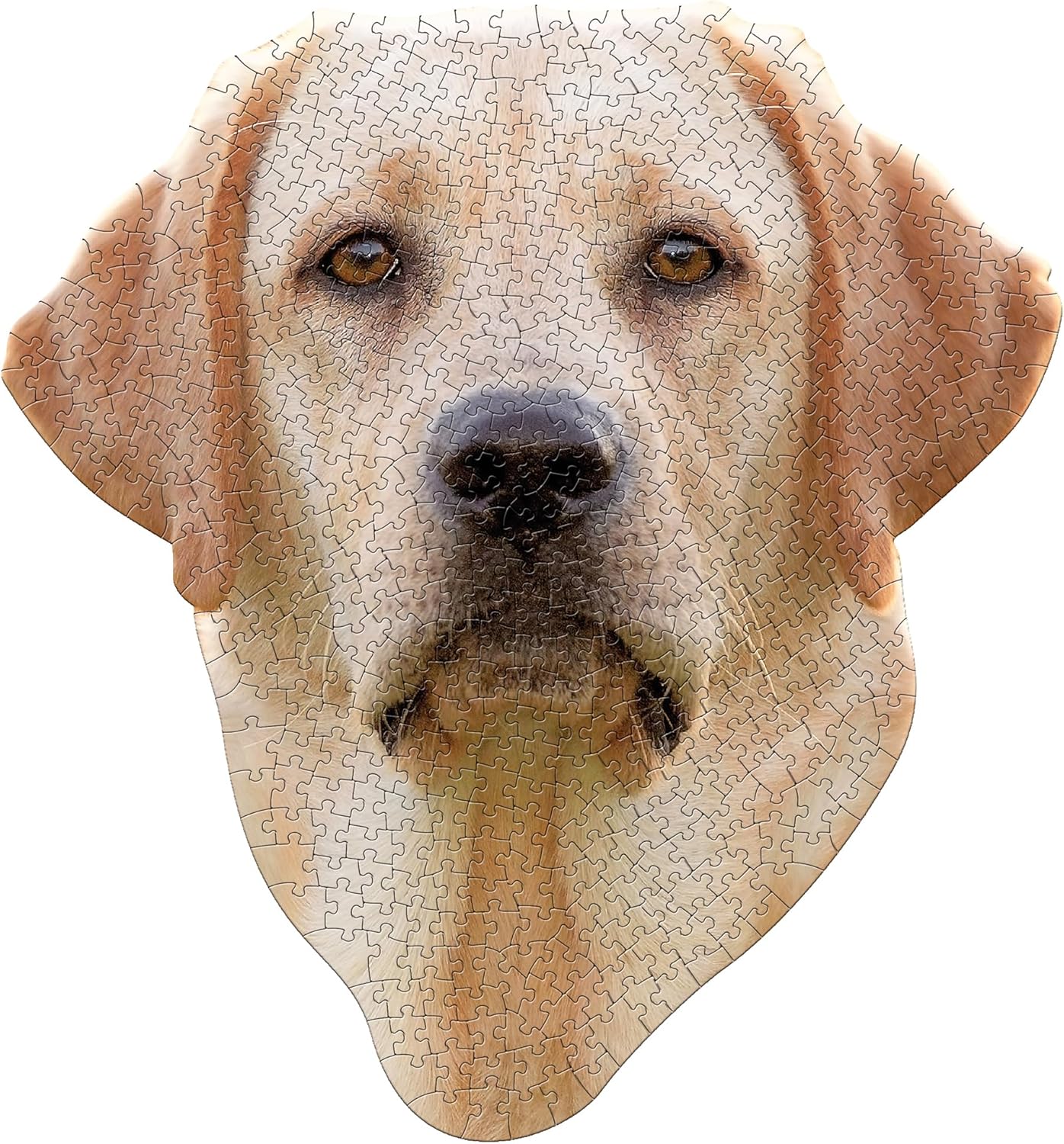 I Am Lab 550 Puzzle