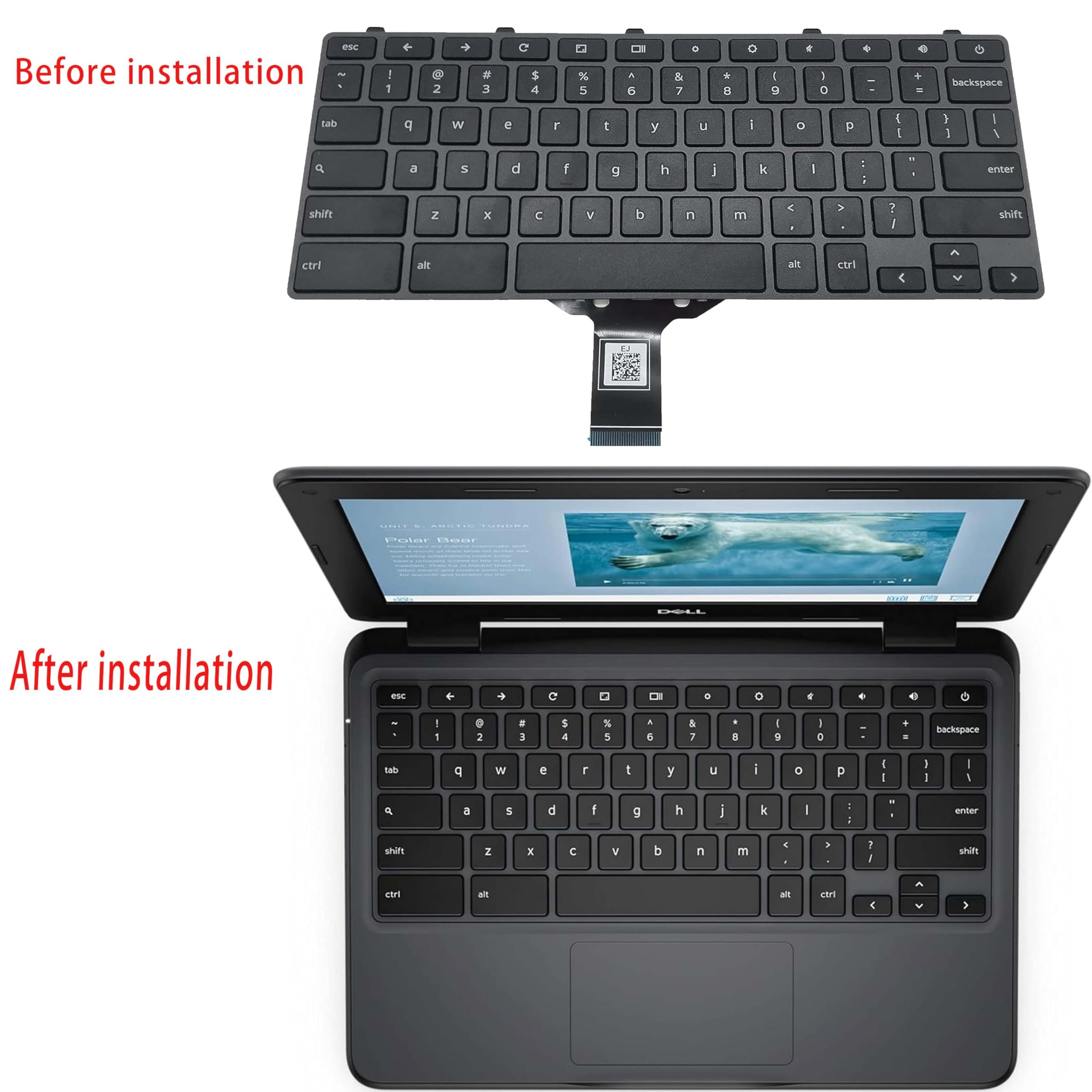 Amazon.com: Dell Chromebook 11 Keyboard Replacement 3100