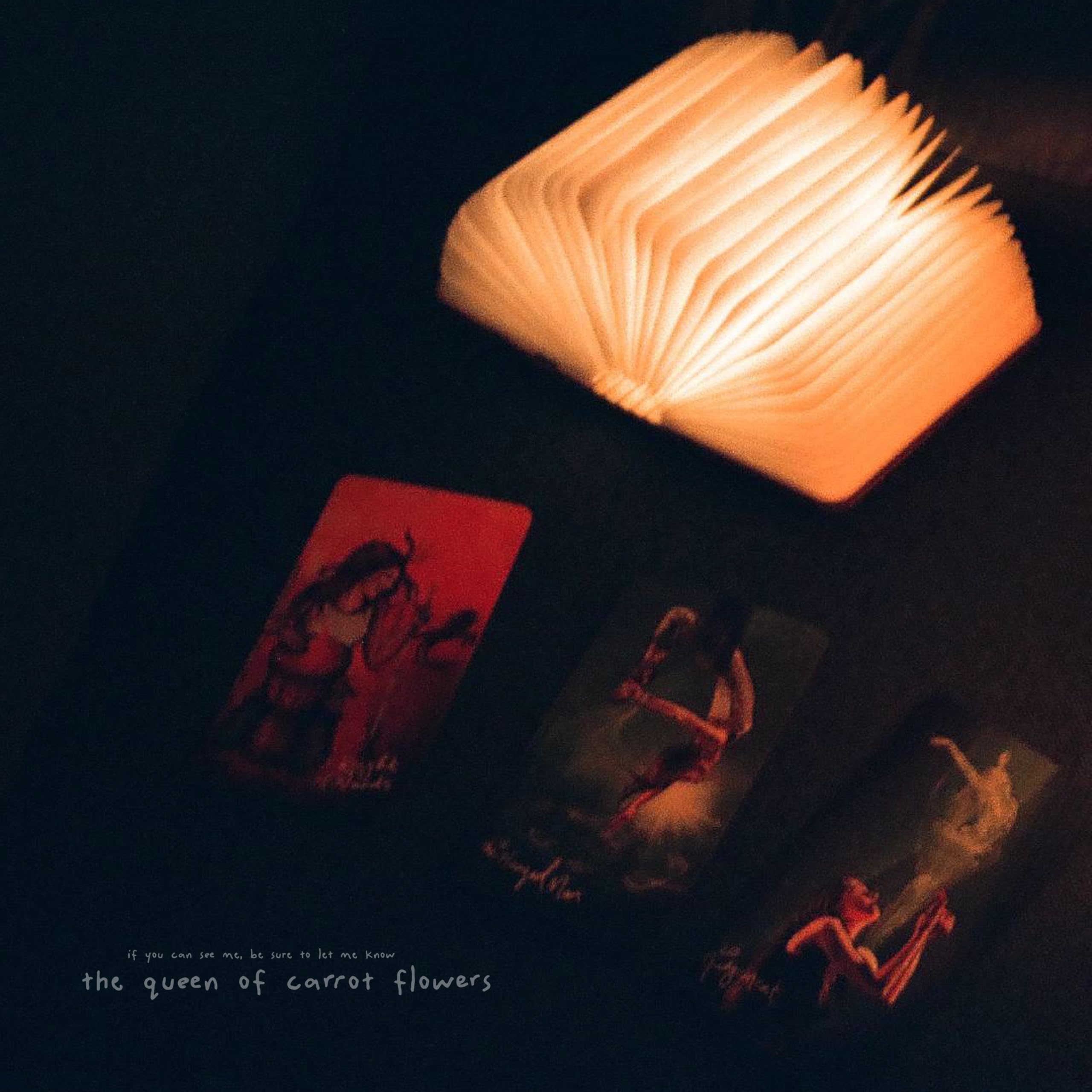 the queen of carrot flowers