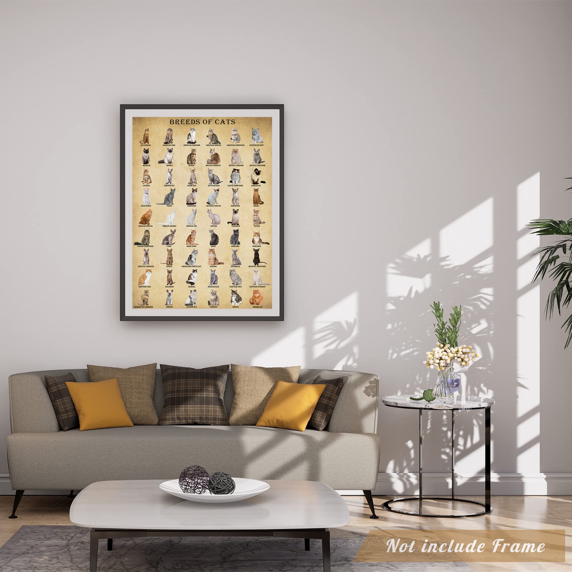 Poster In Metallo Per Amanti Dei Gatti Neri 'Just A Girl Who Loves Cats And Books' - Targa Decorativa Vintage 30x40 Cm Anticata - Ideale Per Cucina, Bar E Casa
