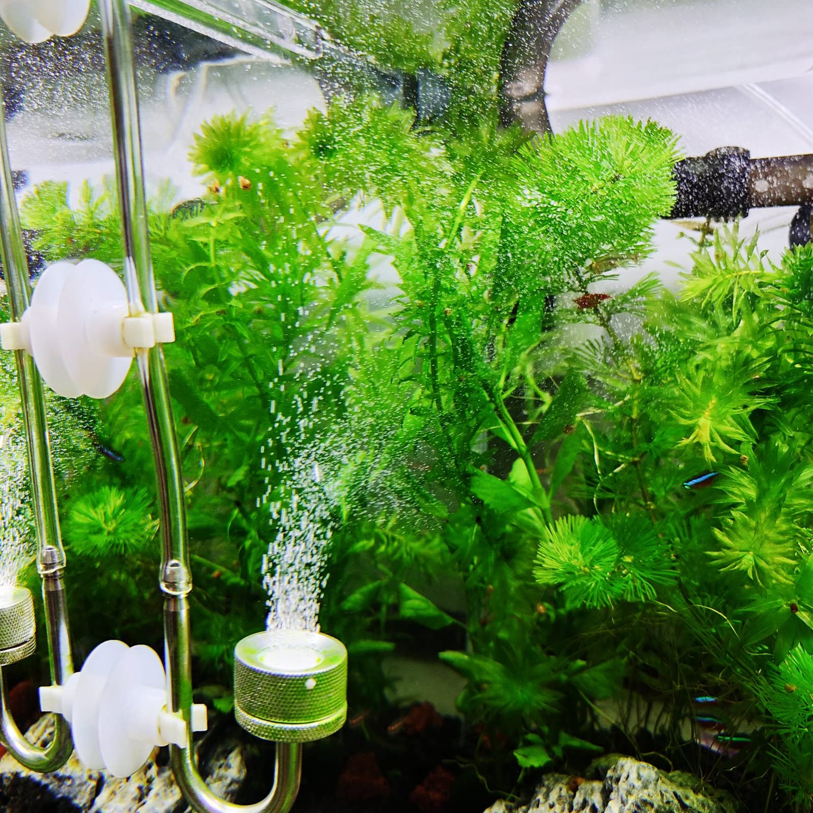 Drop Checker C02 Detector CO2 Drop Checker Kit For Aquarium - With Test Solution ...