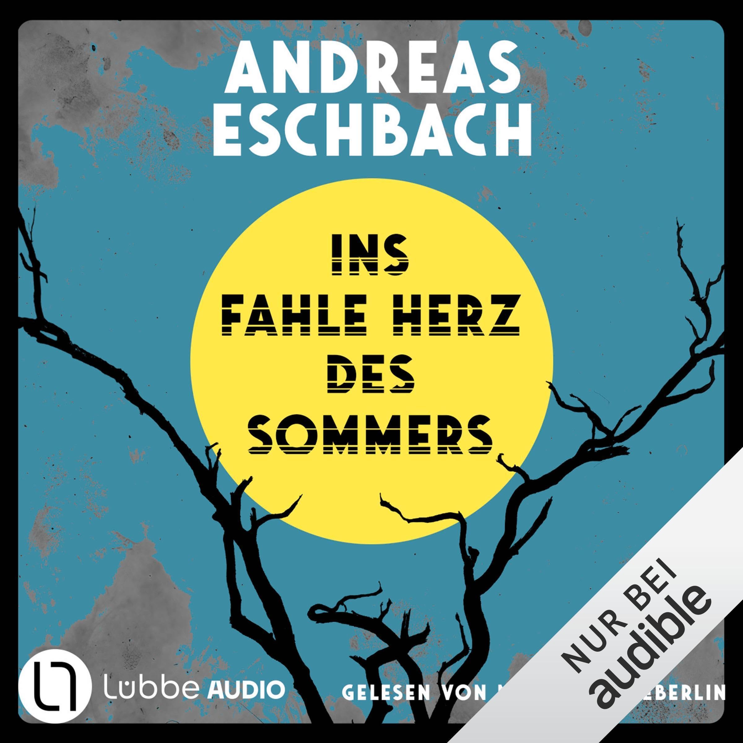 Cover art for Ins fahle Herz des Sommers
