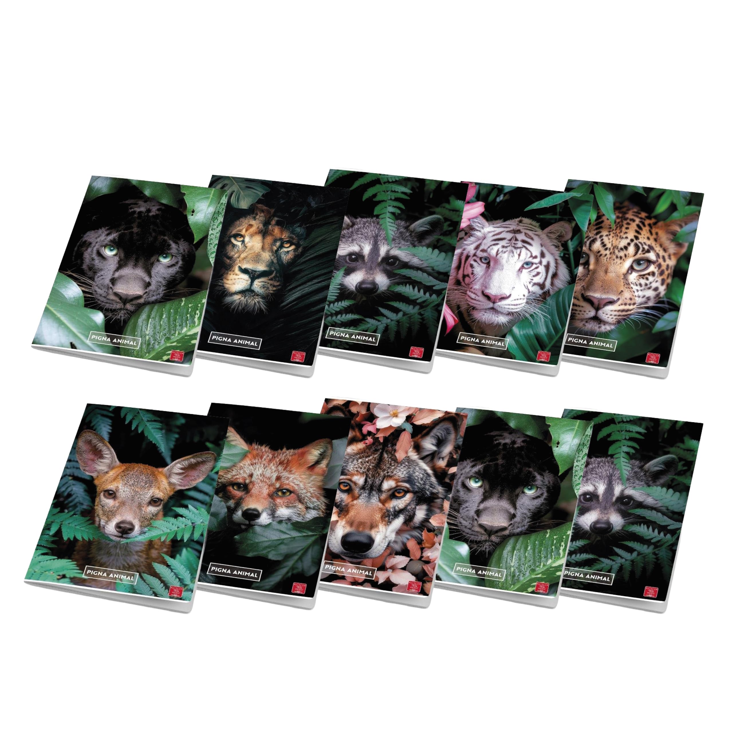 Pigna Maxi Quaderni A4 Quadretto 0Q 5 mm Confezione 10 Pezzi