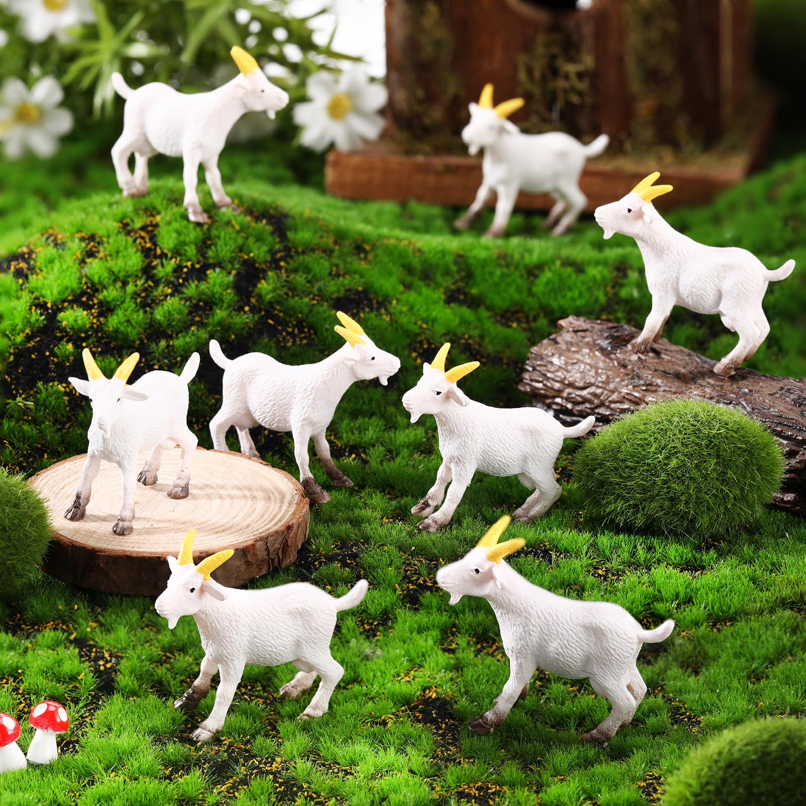 View 7