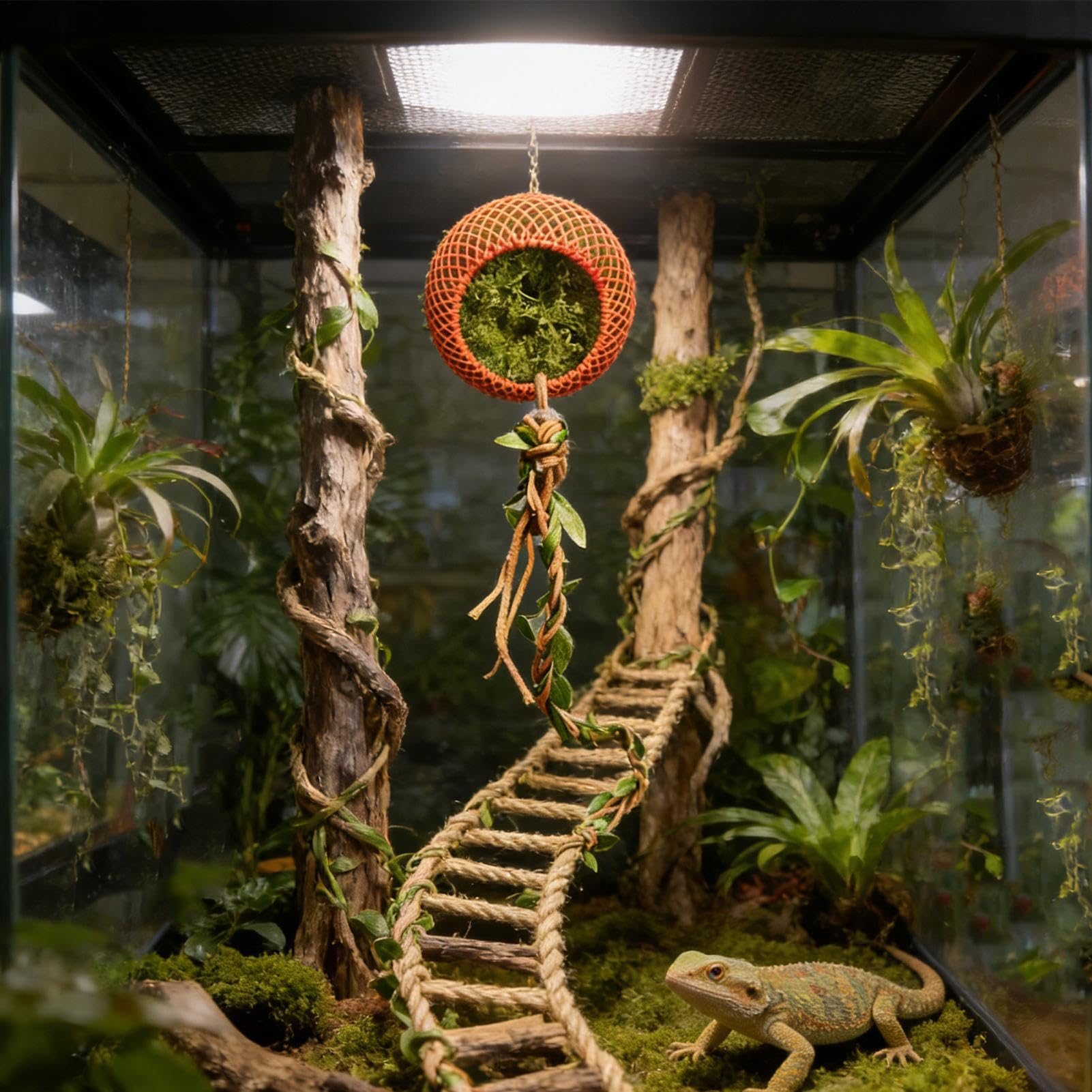 Jumping Spider Cave & Climbing Kit 3D Habitat Cave Decoration, Silk with Moss Style, Realistyczna tekstura kamienia, mocowanie magnetyczne z trwałą konstrukcją, pająk Resting Foraging for Tarantula