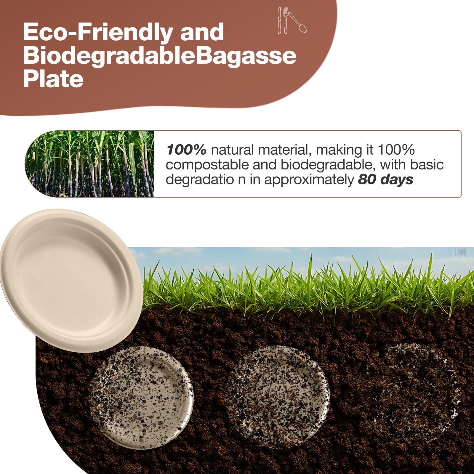 Biodegradable Paper Plates - 300pc Set -6