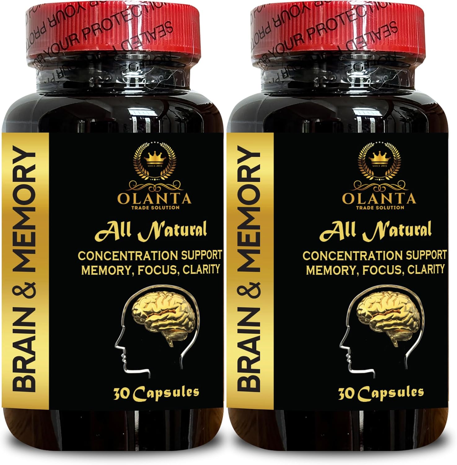 Brain Memory Support - Brain Vitality, Cognitive Brain Booster, Supplements for Memory, Focus, Clarity, Energy, Performance, Ginkgo biloba Supplements - 2 Bottles 60 Capsules
