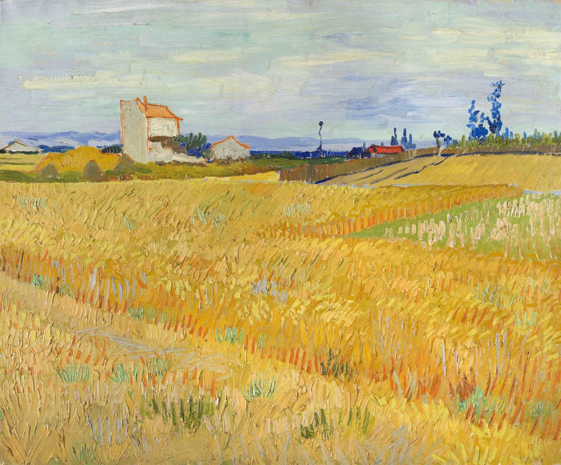 SERENDIPITP Vintage Wall Art Canvas Nordic Poster Canvas Print Picture Wheat Field Wall Art Poster for Home Decor 60x90cm