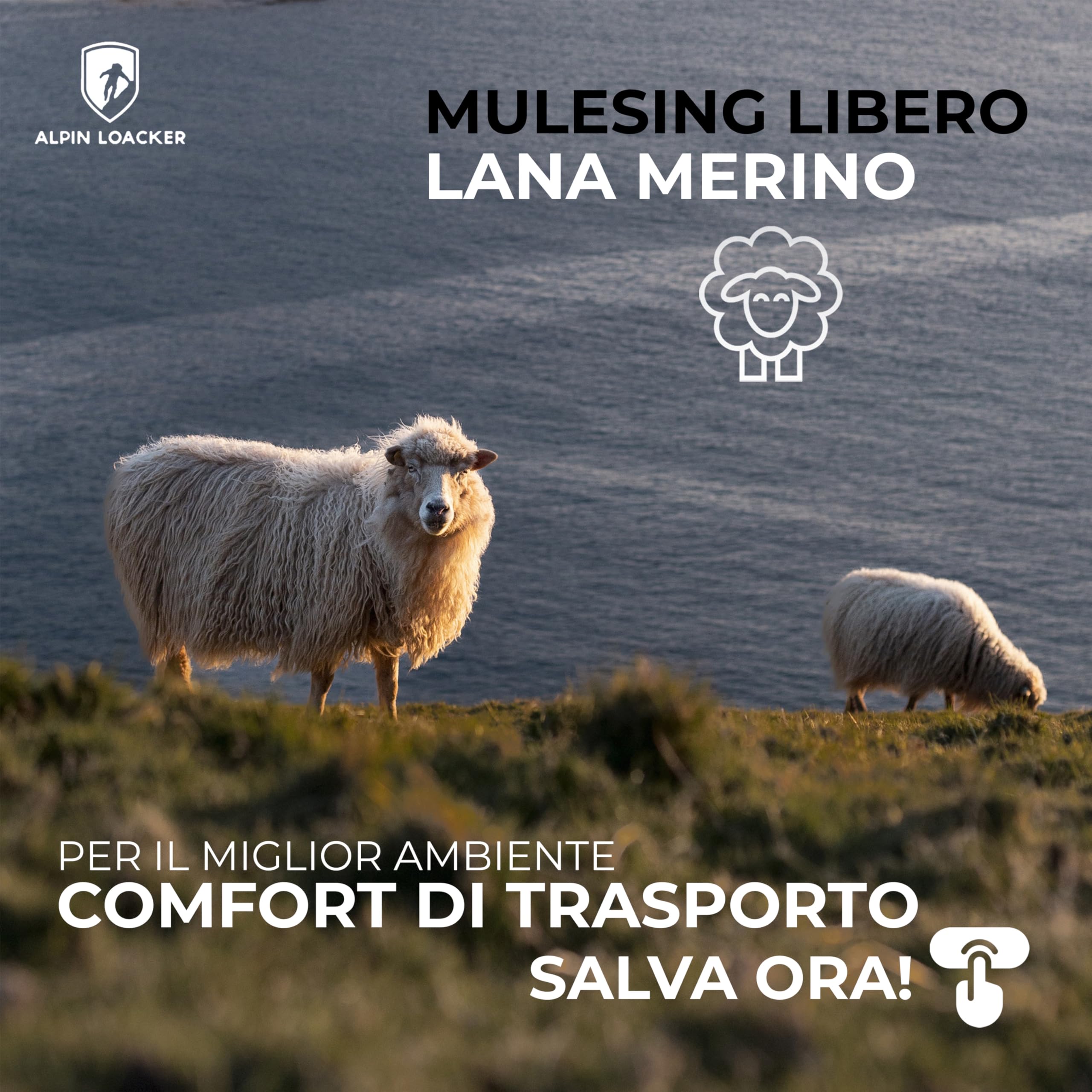 ALPIN LOACKER Maglie Lunghe Donna in Lana Merino - Maglietta e Intimo Termico per Sport e attività Outdoor