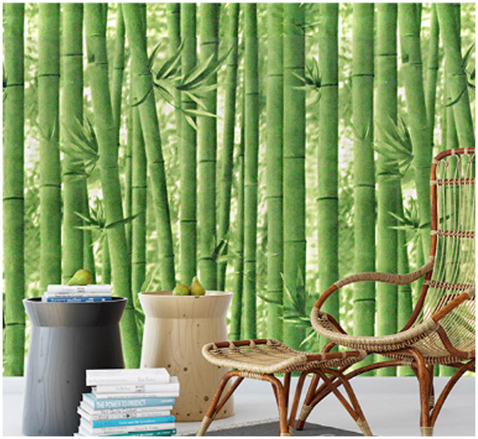 JAAMSO ROYALS Green Bamboo Design Home Décor Wallpaper (200 CM X 45 CM) (Set of 1) (B08L14XF2L) Amazon Price History, Amazon Price Tracker