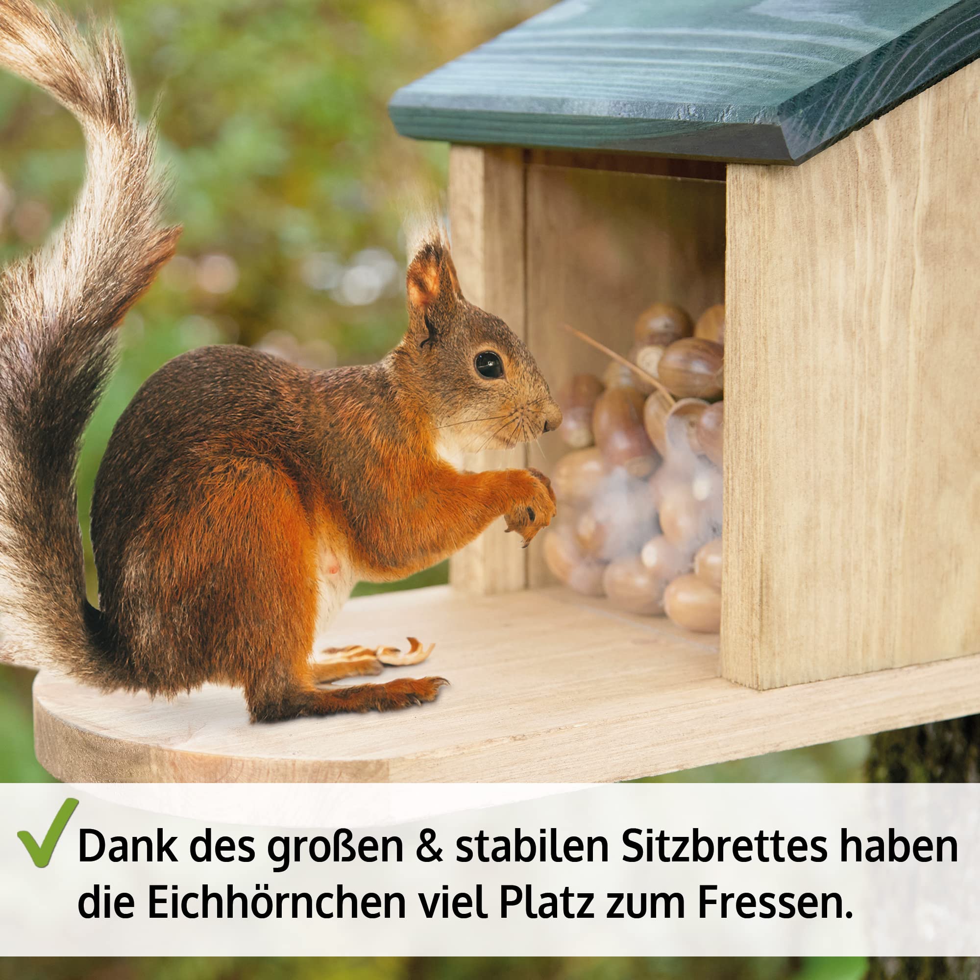 zooprinz wetterfestes Eichhörnchen Futterhaus mit großer Sitzplattform - aus langlebigen Massiv-Holz I große & stabile Futterstation I Langlebiges Eichhörnchenfutterhaus, ganzjährig