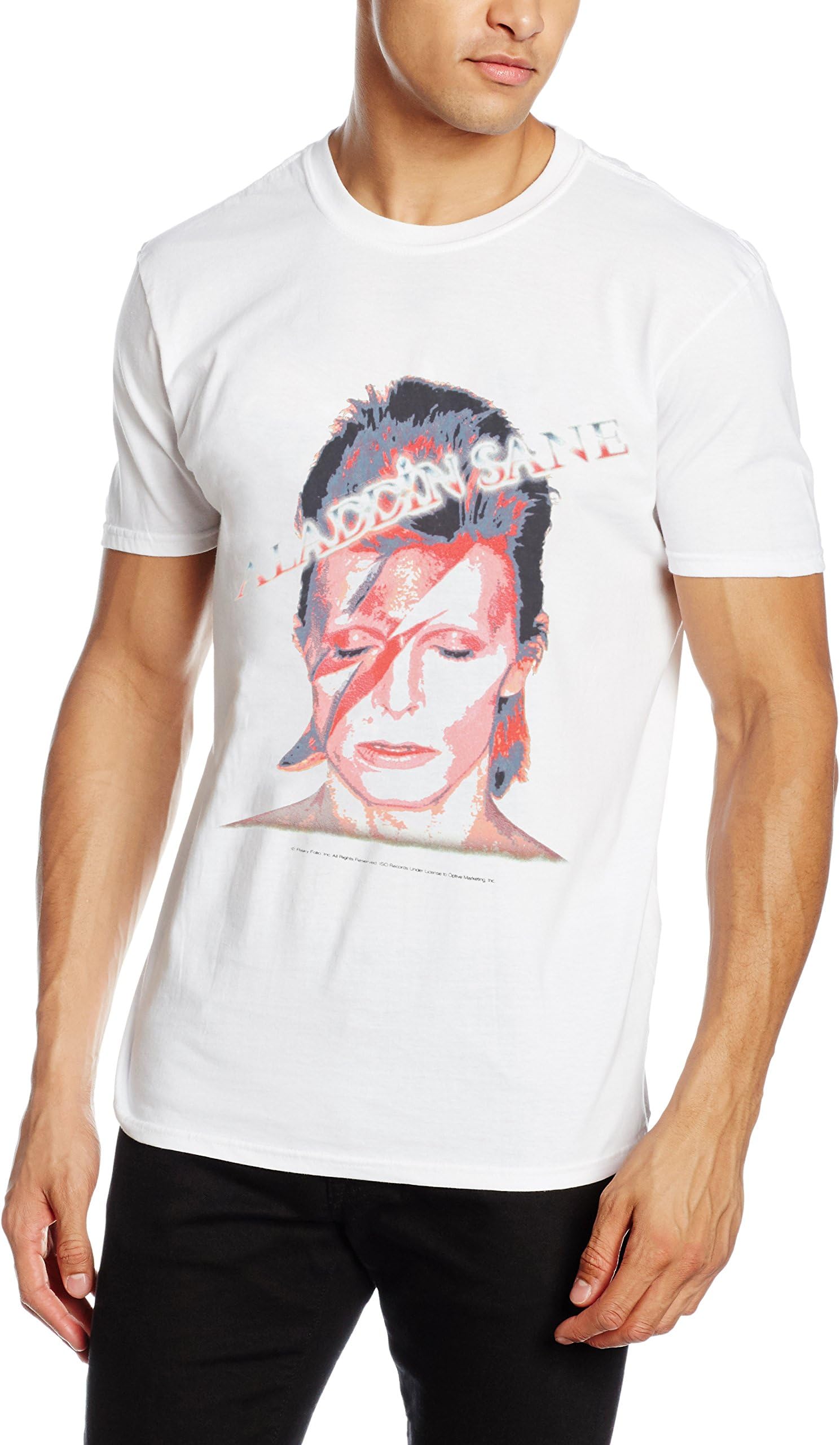 Rockoff Trade Men's Aladdin Sane T-Shirt