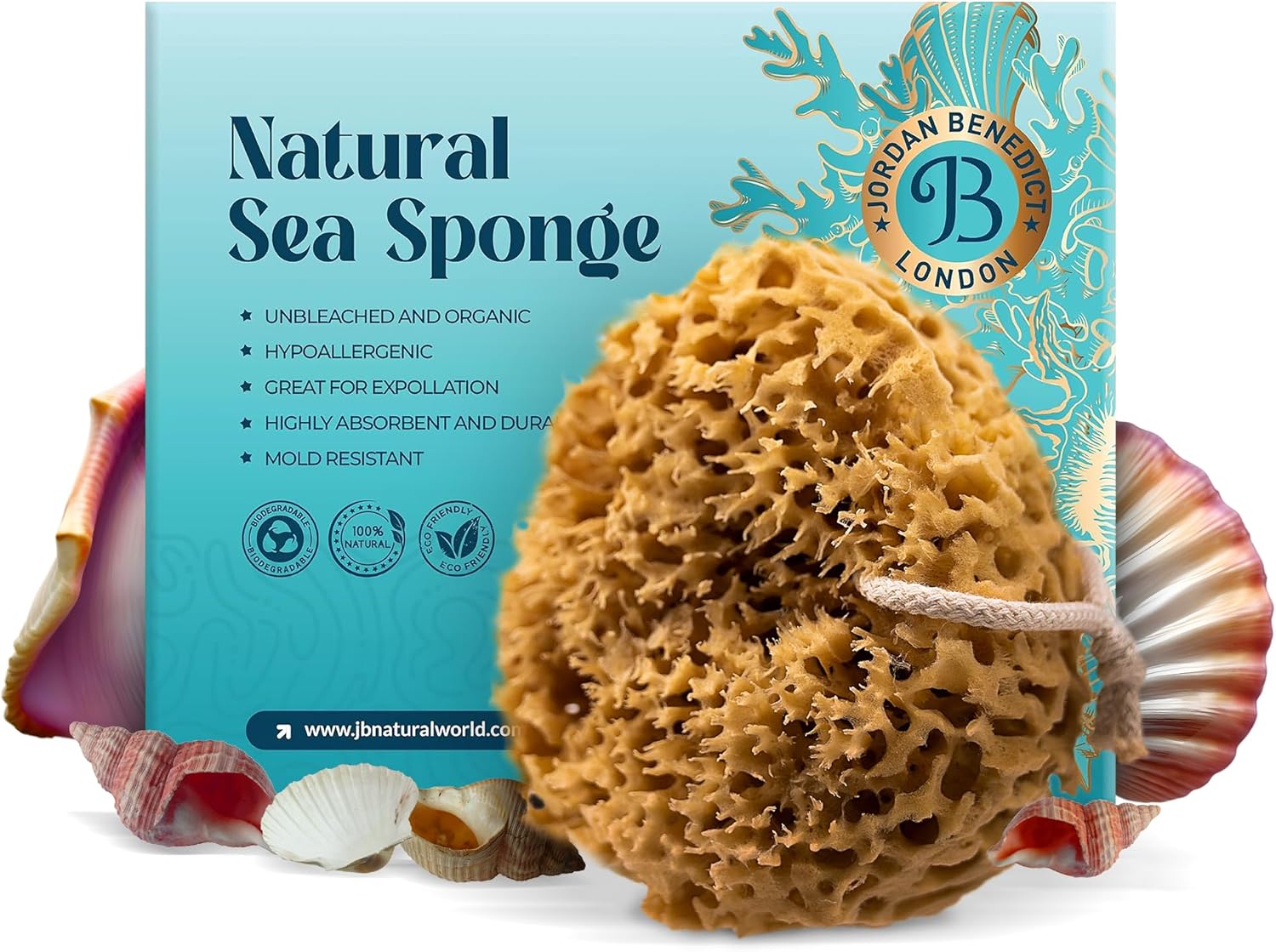 Jordan Benedict Natural Sea Sponge, Unbleached Honeycomb Shower Sponge ...