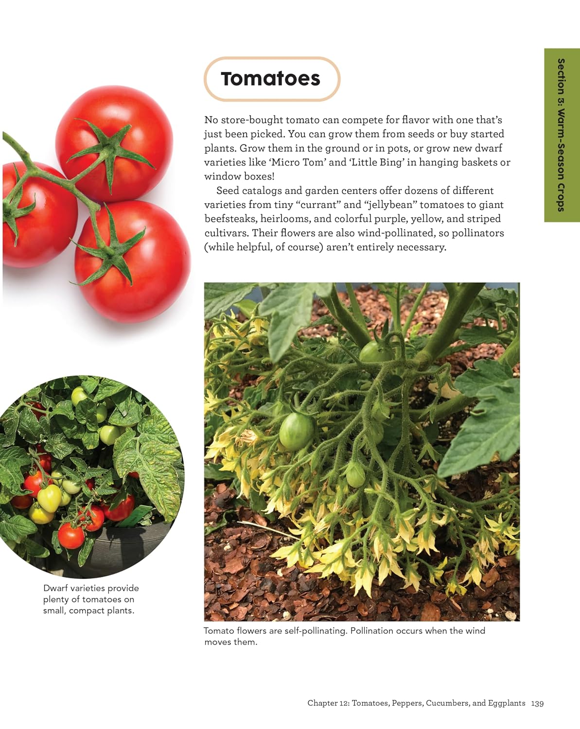 Ultimate Guide: Small Space Kitchen Gardens: How to Plan, Plant, and Harvest High-Yield Vegetable Gardens (Creative Homeowner) Grow Your Own Veggies, Herbs, and Berries the Easy Way, Indoors and Out