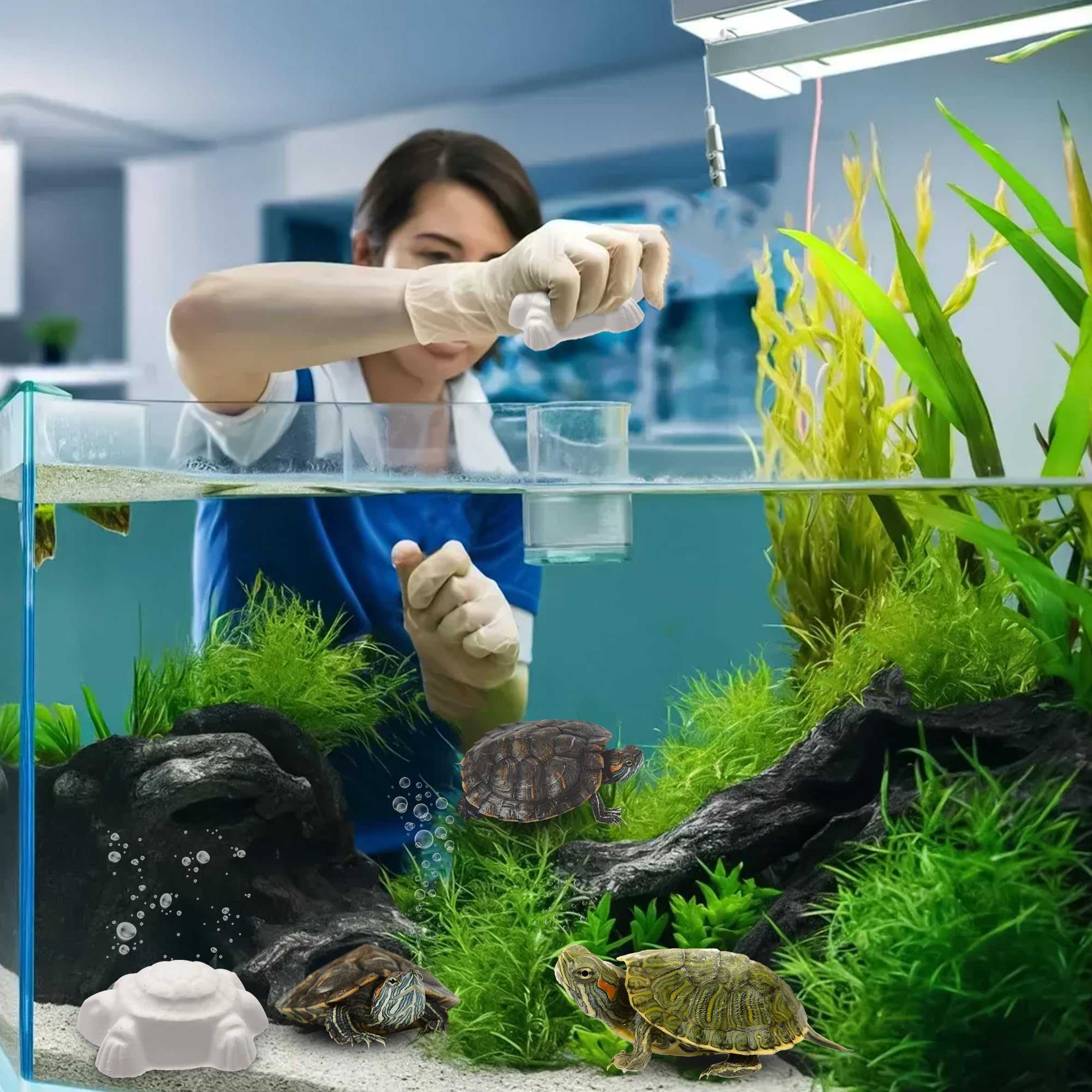 AreaAnimal - Calcio Tortugas de Agua, 10pcs Calcio para Tortugas de Agua con Liberación Lenta, Piedra Tortuga Que Fortalece el Caparazón y Mejora el Sistema Nervioso — view 7