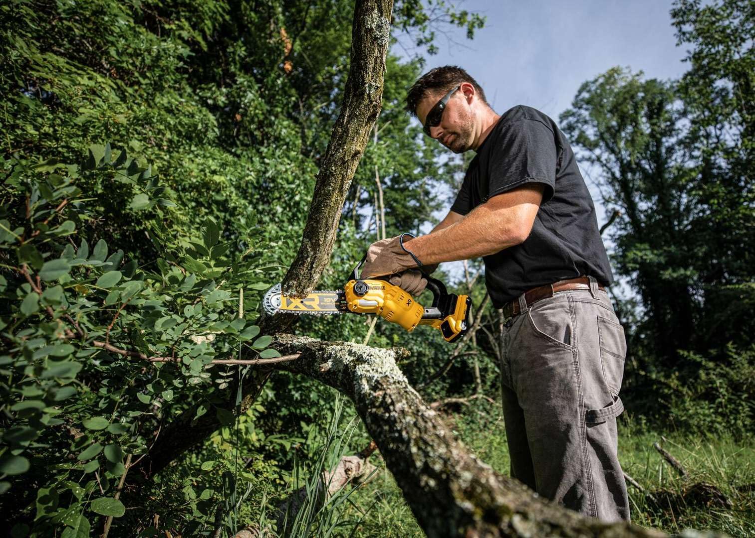 DEWALT Sierra de Poda XR 18V sans balais pour Jardiniers Passionnés - Performance Optimale avec Batterie Li-Ion 5Ah