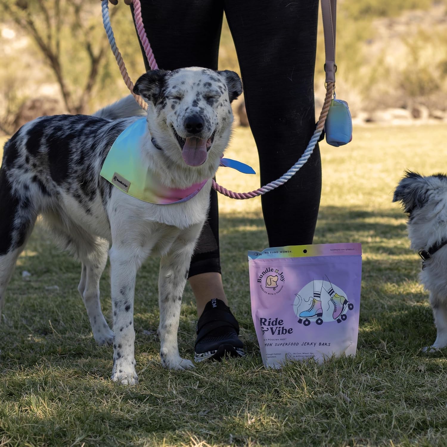 Bundle x Joy Ride & Vibe Wild-Caught Salmon Jerky for Dogs - 2 Lbs