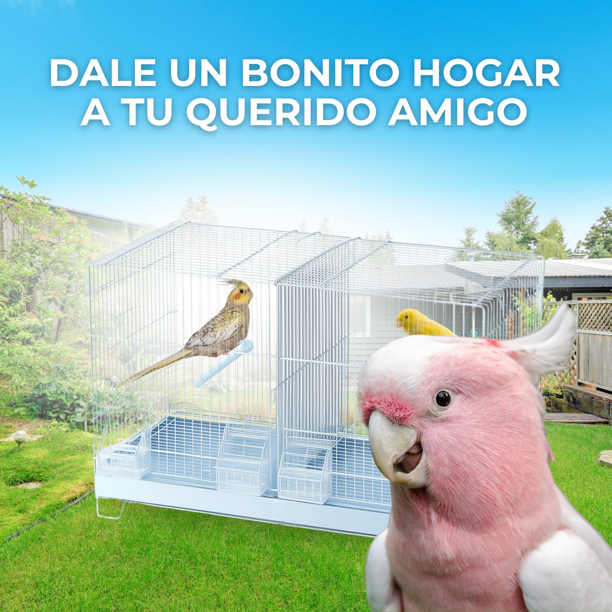 MOLY Jaulón de cría para pájaros 58 x 32 x 37 cm | Jaula Desmontable con Base elevada | Pajarera, Nido Ideal para reproducción y cría de Aves pequeñas