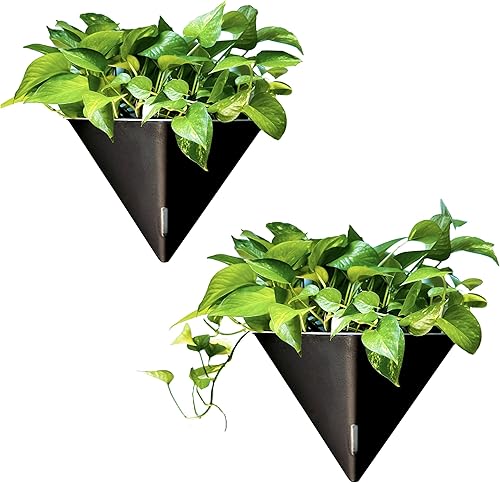 LaLaGreen - Maceteros de pared para plantas de interior, paquete de 2, 12 pulgadas, gran riego automático, negro, geométrico, colgante, florero, con
