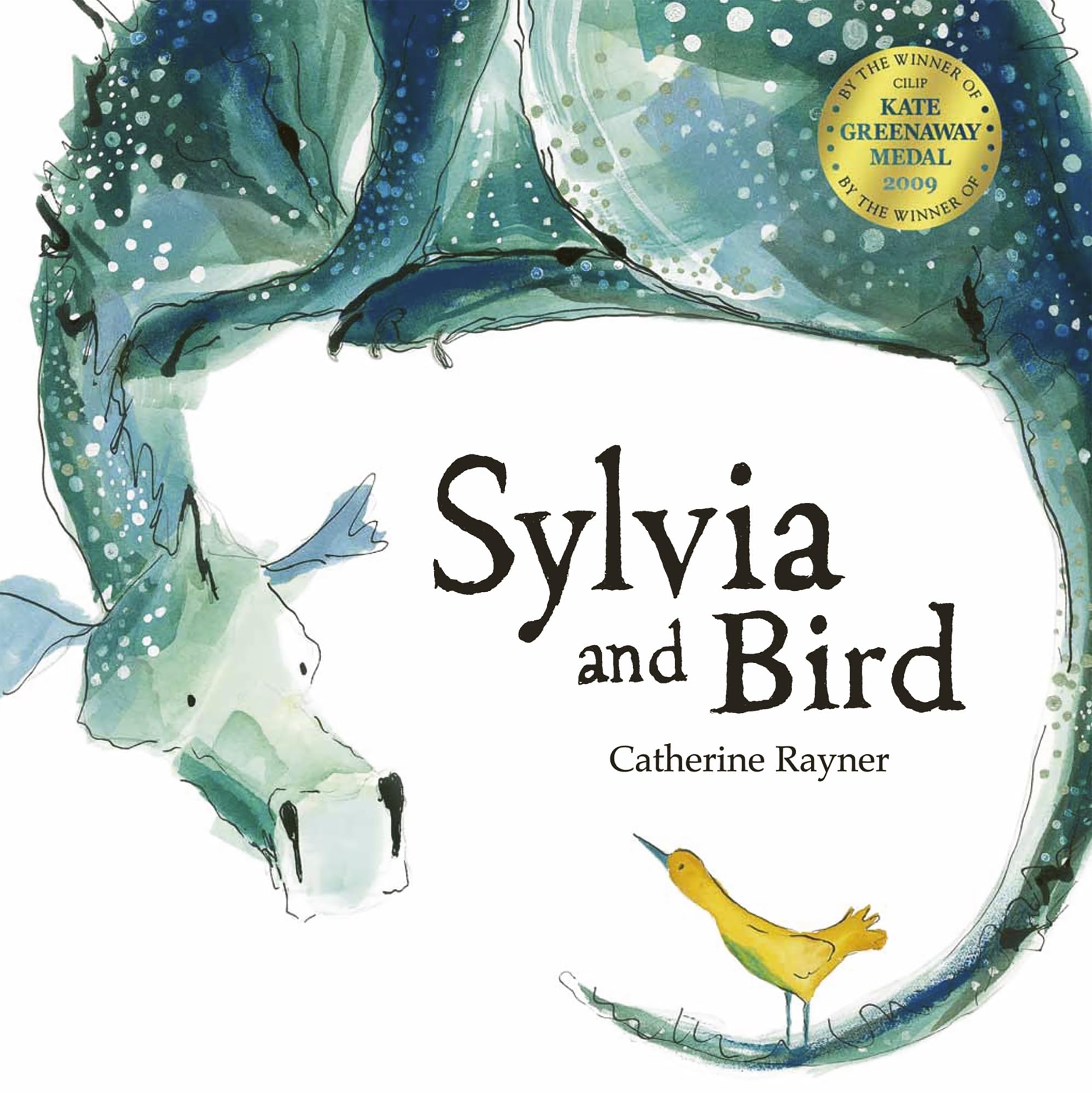 Sylvia and Bird by Catherine Rayner PAPERBACK 9781845068578