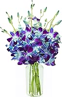 KaBloom Exotic Sapphire Blue Orchid Bouquet from Thailand with Vase - Fresh Dendrobium Orchids for Valentine's, Mother's Day, Birthdays