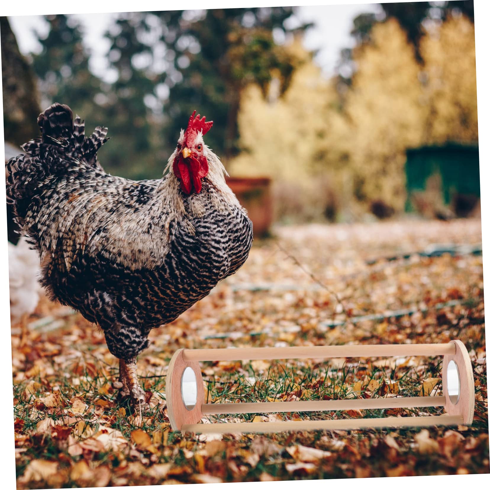 Mipcase Parrot Training Shelf Chicken Toy Wooden Chicken Roosting Bar Poultry Roosting Perch Bird Decor for Hens