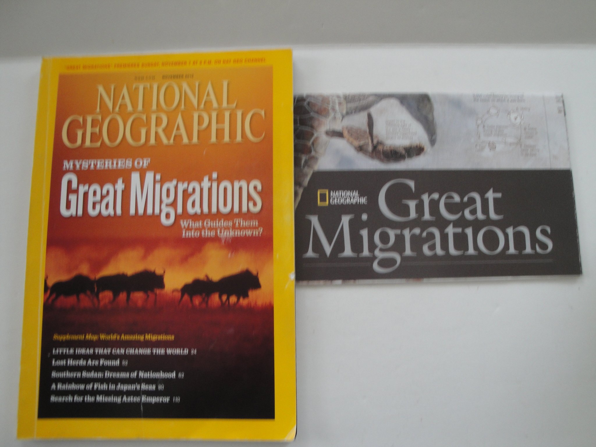 National Geographic, Mysteries of the Great Migrations (November 2010; Vol 218 No 5)