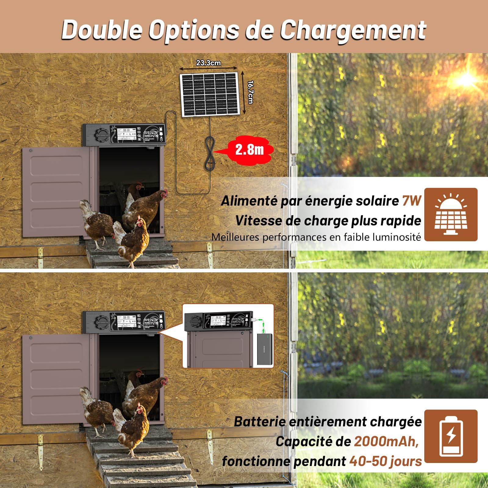Grande Taille Porte Poulailler Automatique Solaire avec 7W Panneaux Solaires, Écran LCD, Porte Automatique Poulailler en Aluminium avec Capteur de Lumière, Minuterie, Fonction Anti-pincement