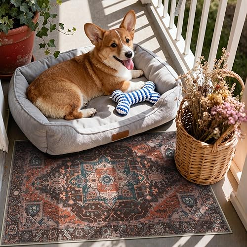 Miniatura 195 de Collive Tapete lavable para interiores, tapete retro antideslizante de 20 x 32 pulgadas, alfombra de entrada de absorción rápida, tapete de entrada