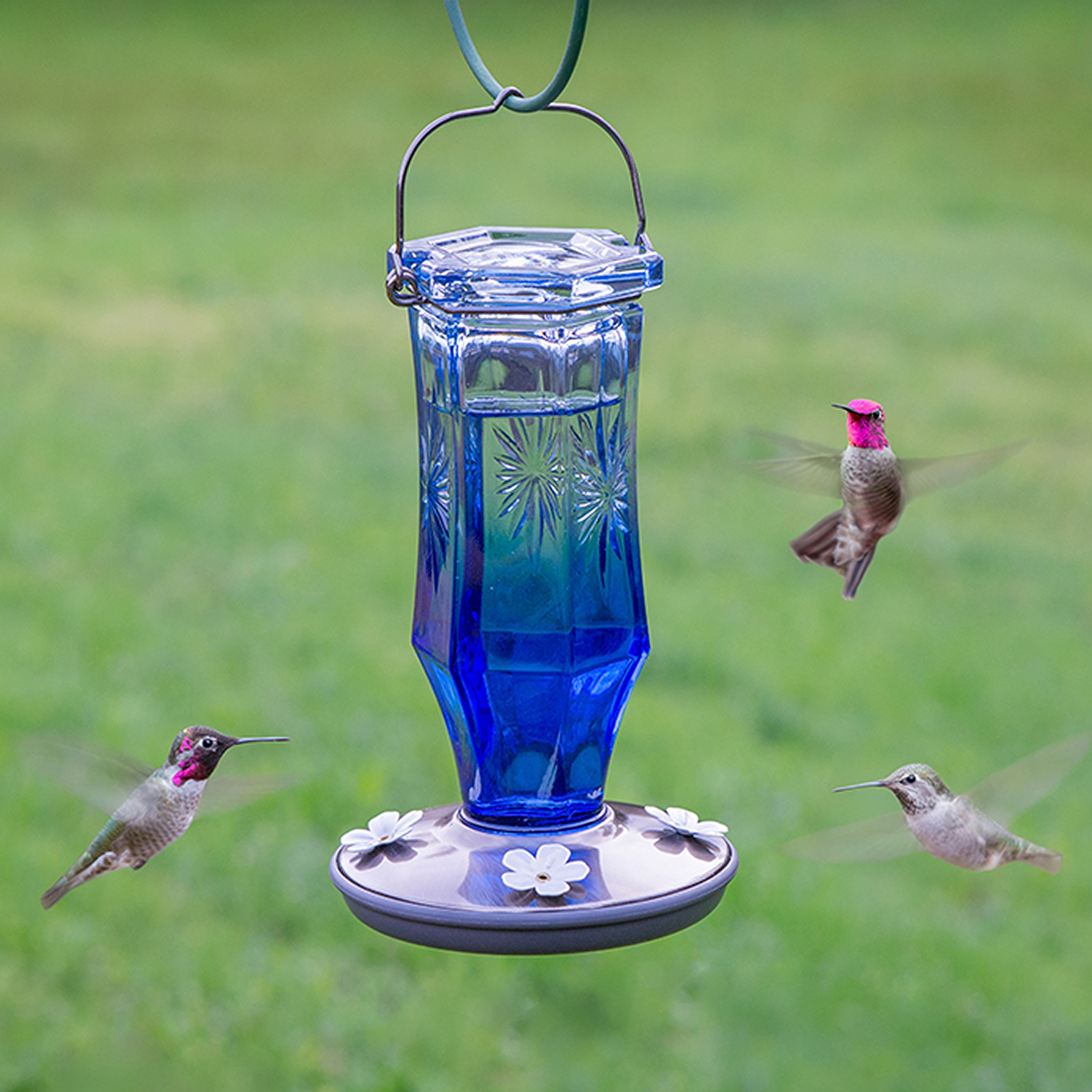 Mangiatoia Per Colibrì Da Esterno 30 Posti | Rossa A Prova Di Api E Perdite | Facile Da Pulire Con Spazzole - 2