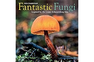 Fantastic Fungi Wall Calendar 2024: Extraordinary Microscopic Odyssey
