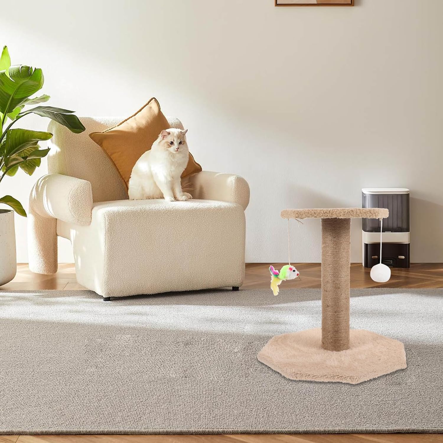 Toddmomy Cat Scratching Post Cat Claw Scratcher Pole with Wear-Resistant Sisal Rope Hanging Ball Small Size and Kitten Accessories