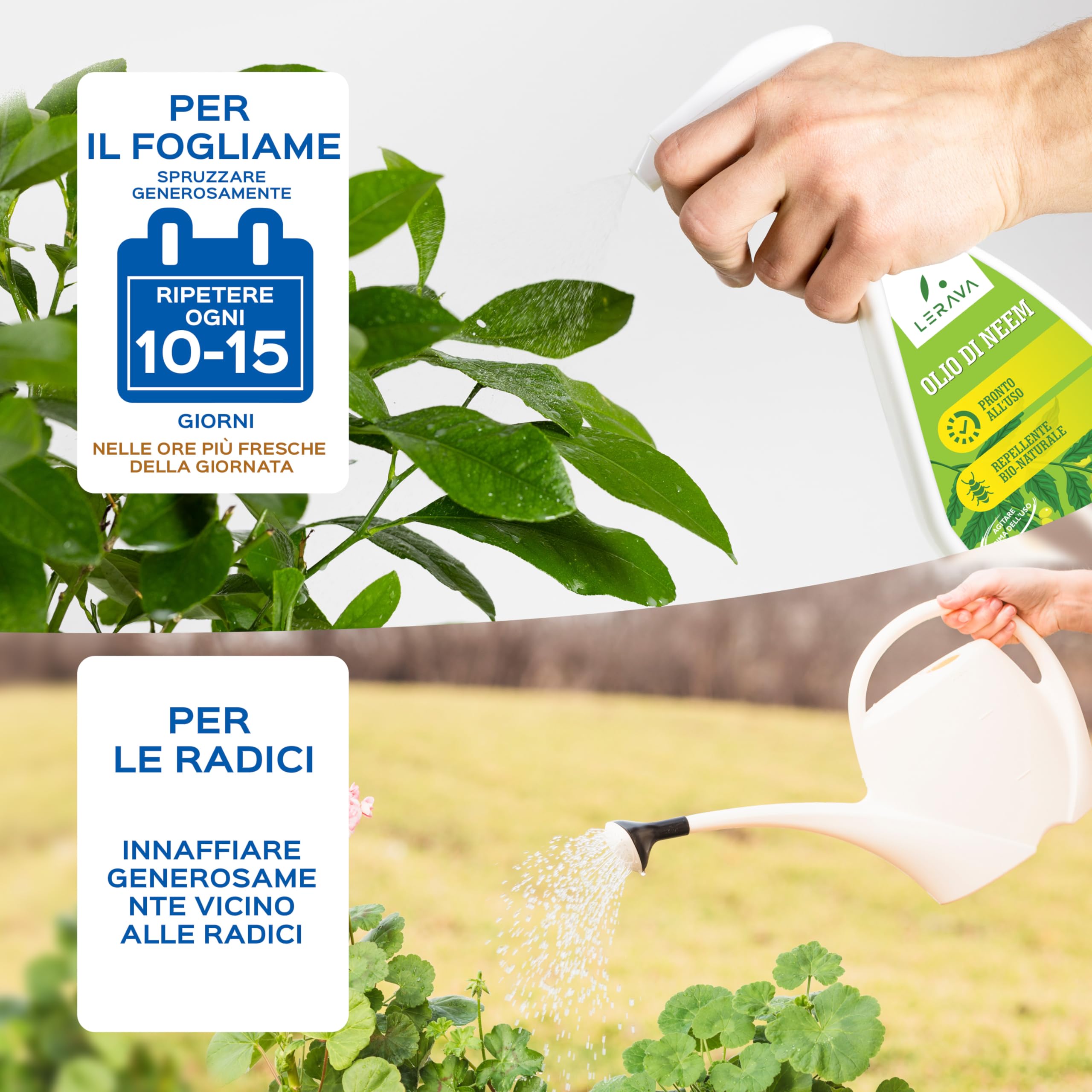 LERAVA Olio di Neem per Piante 700 ML - Antiparassitario Naturale per Orto e Giardino