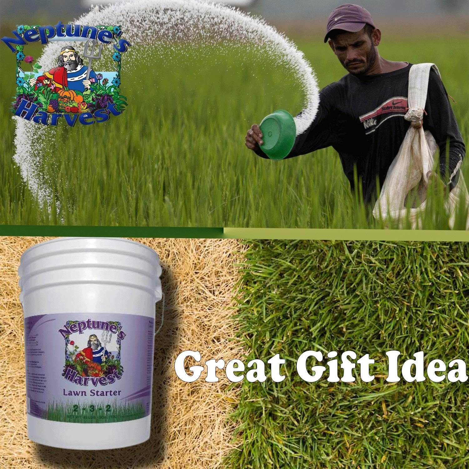 Neptune's Harvest Lawn Starter Fertilizer, 5 Gallon Pail