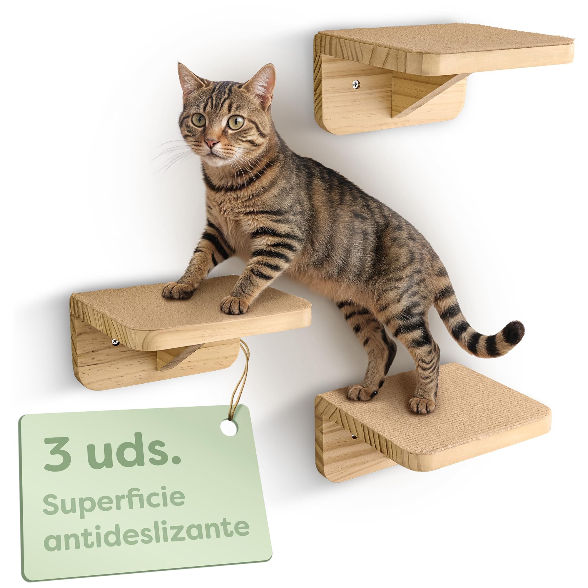 Knupis Estante De Pared para Gatos - 3 Escaleras para Gatos Pared - Madera De Pino Fsc® - Fieltro Antideslizante - Fácil Montaje - hasta 30 Kg (Beige) | Estable hasta 30 kg, no tejido antideslizante, montaje en minutos, madera de pino FSC, muebles de pare