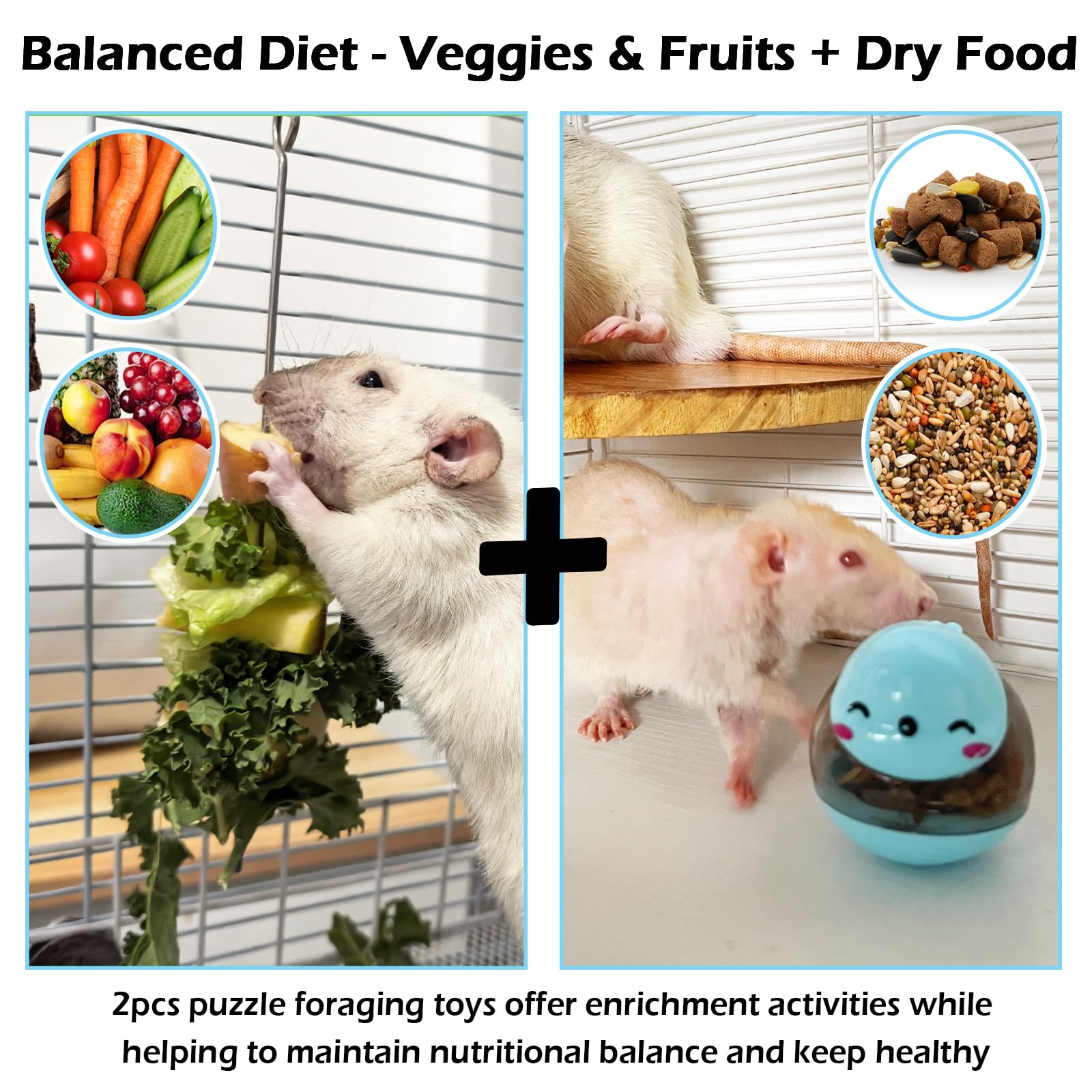 5Pcs Rat Enrichment Toys, 304 Stainless Steel Foraging Fruit Veg Holder, Treat Dispenser, Interactive Puzzle Slow Feeder, Rotating Sniffing Cage Accessories for Rats/Mice/Birds - image 2