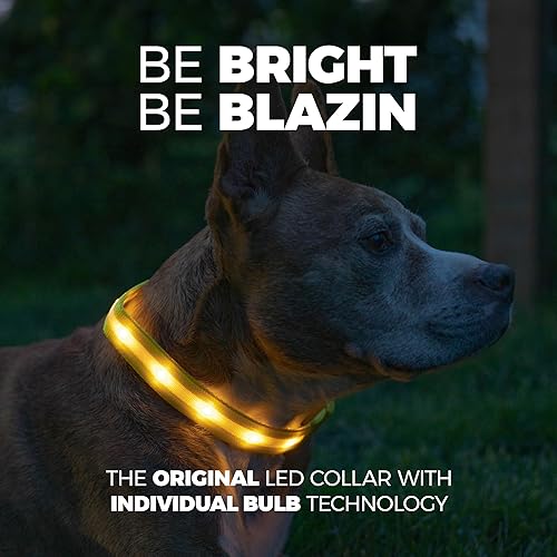 Miniatura 10 de Blazin - Collar led de seguridad para perros, recargable mediante USB y con luz intermitente resistente al agua, talla M, color negro