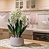 Product Photo 7