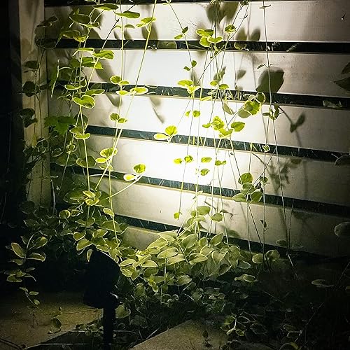 Miniatura 6 de Malibu - Proyector LED de 6 W, iluminación de paisaje, iluminación al aire libre, iluminación impermeable para entrada, patio, césped, inundación,